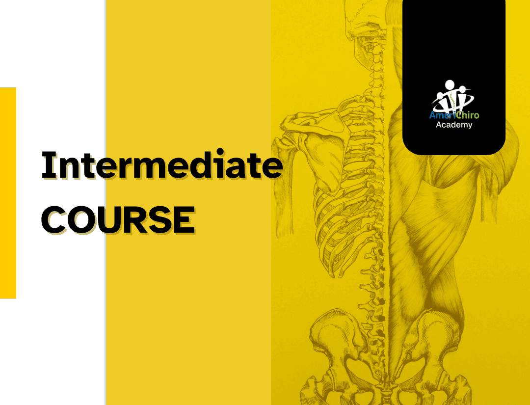 Intermediate seminar